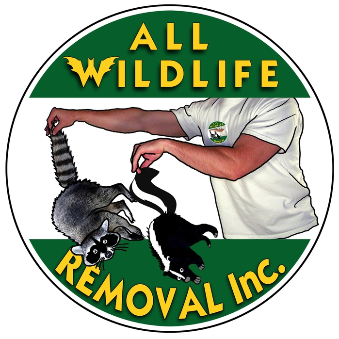 All Wildlife Removal Inc